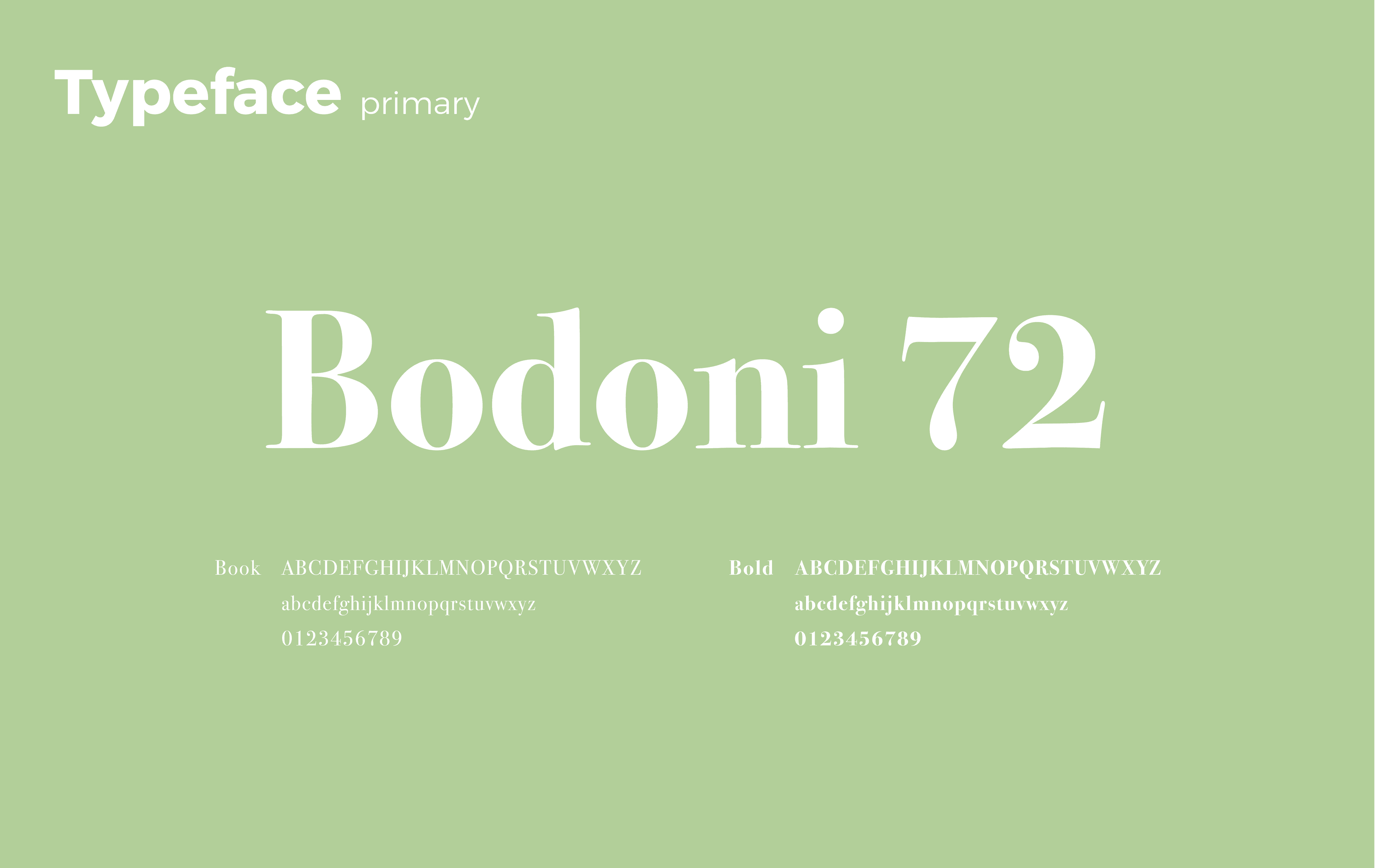 Studio Ghibli primary typeface